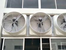 工廠車(chē)間施工案例